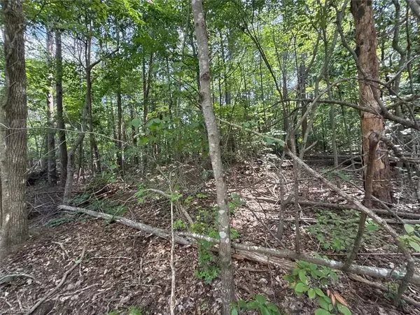 Reidsville, NC 27320,387 Vernon RD