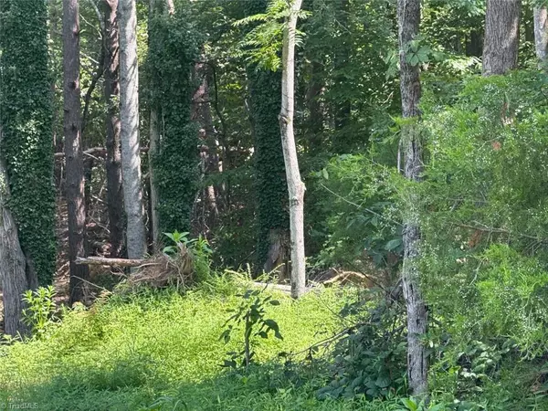 Reidsville, NC 27320,387 Vernon RD