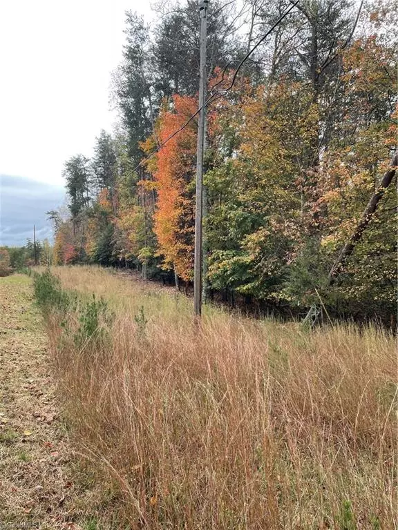 Wilkesboro, NC 28697,000 Rocky Point RD