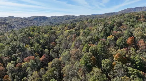 Millers Creek, NC 28651,721 Kuenzel Eller DR