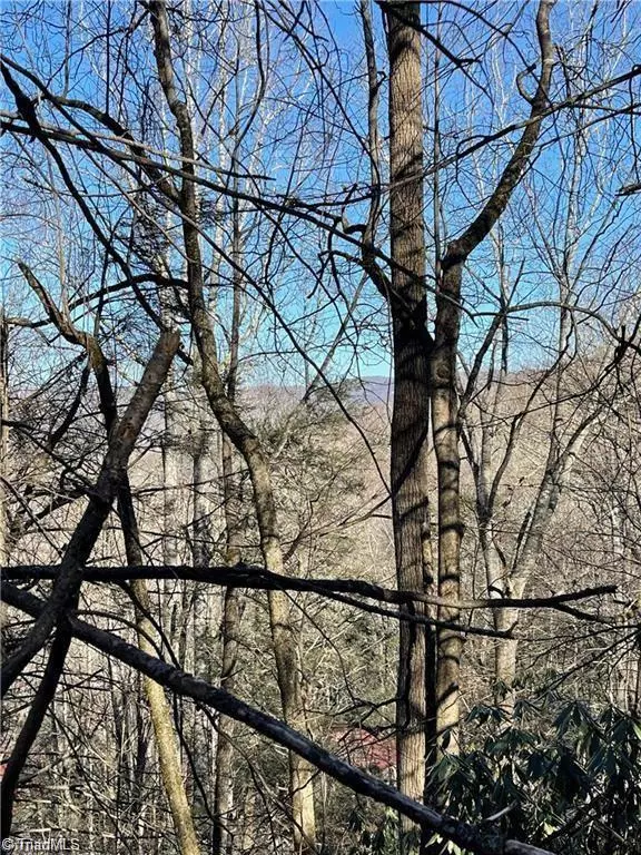 Banner Elk, NC 28604,Lot E-15 Laurel Ridge RD