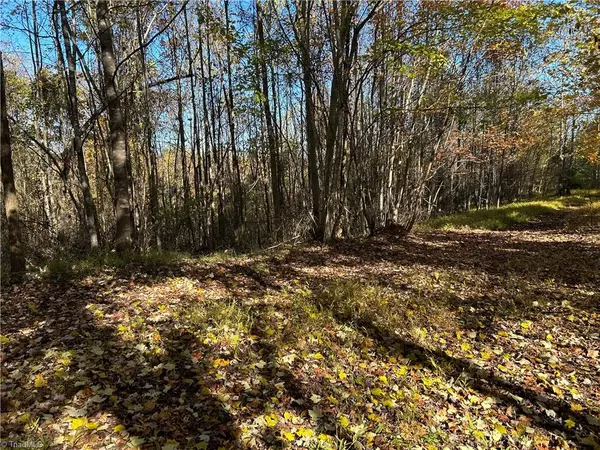 Sandy Ridge, NC 27046,0 Buffalo RD