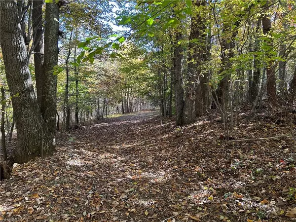 Sandy Ridge, NC 27046,0 Buffalo RD