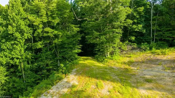 Creston, NC 28615,TBD 3 Big Laurel RD