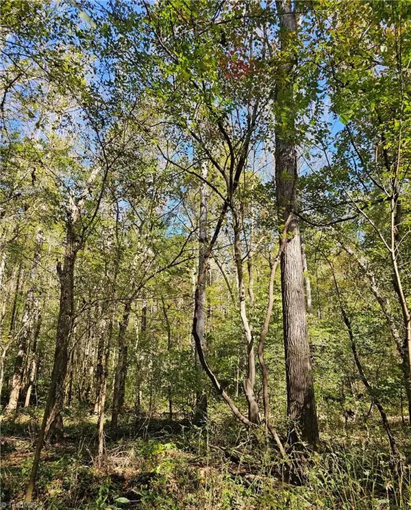 Mocksville, NC 27028,460 Mr Henry RD