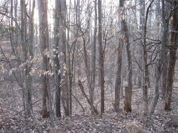 Graham, NC 27253,2973 Creek Point PL