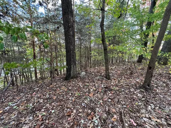 Asheboro, NC 27205,0 Sykes Farm RD