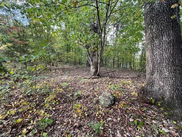 Asheboro, NC 27205,0 Sykes Farm RD