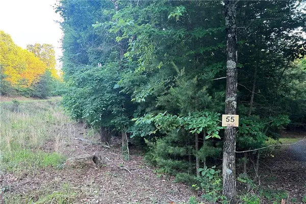 Boomer, NC 28606,55 Ridge Run RD