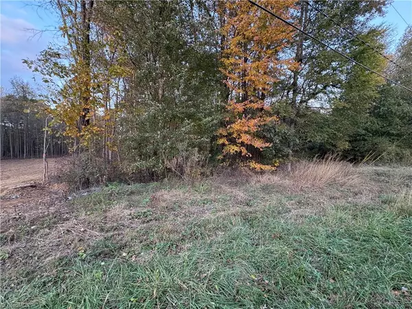 0 Davis Country RD, Randleman, NC 27317