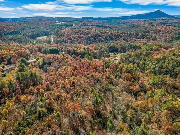 Glade Valley, NC 28627,0 SHAWTOWN RD
