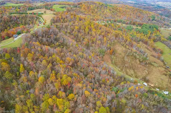 Mouth Of Wilson, VA 24363,TBD 4 Mayito LN