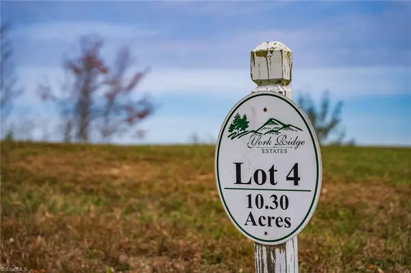 Mouth Of Wilson, VA 24363,TBD 4 Mayito LN