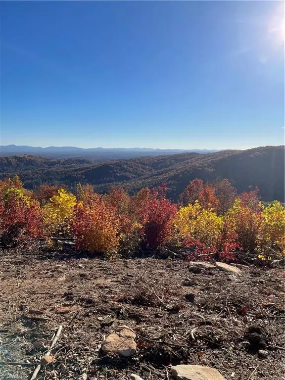 Lot 65 and 66 Widow Mountain DR, Mcgrady, NC 28659