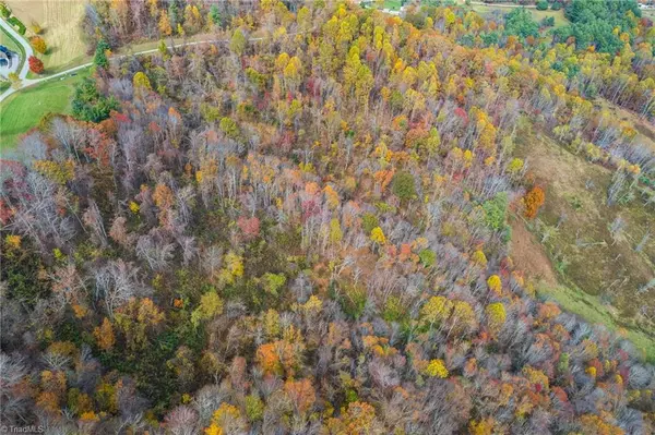 Mouth Of Wilson, VA 24363,TBD 3 Mayito LN