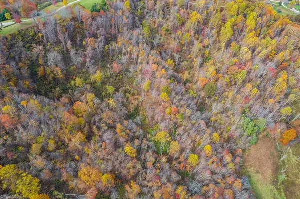 Mouth Of Wilson, VA 24363,TBD 3 Mayito LN