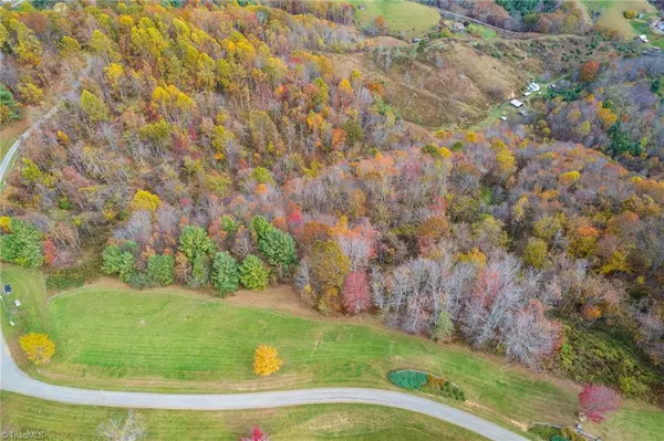 Mouth Of Wilson, VA 24363,TBD 2 Mayito LN