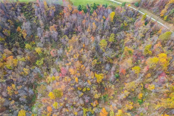 Mouth Of Wilson, VA 24363,TBD 2 Mayito LN