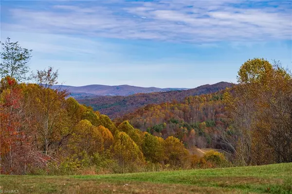 Mouth Of Wilson, VA 24363,TBD 2 Mayito LN