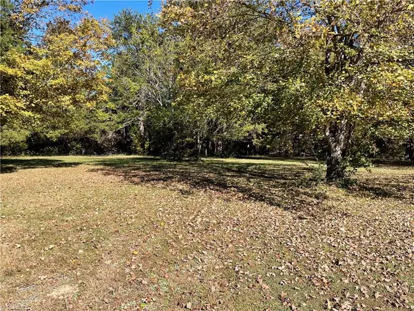 00 Lower Hopedale RD, Burlington, NC 27217