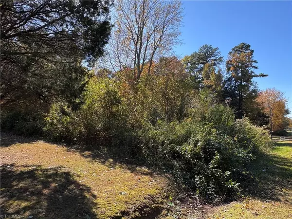 Lexington, NC 27292,480 Avenue I