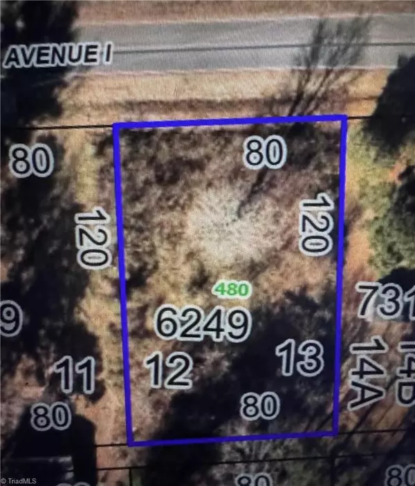 Lexington, NC 27292,480 Avenue I