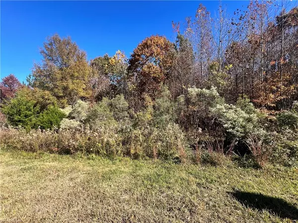 0 Hughes Farm RD, Archdale, NC 27263