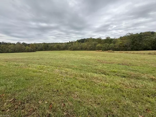 Ararat, NC 27007,x Miller Gap RD #21.3