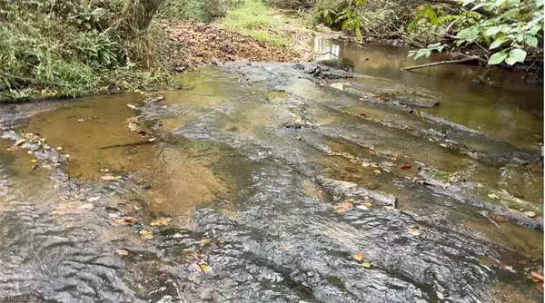 Ararat, NC 27007,x Miller Gap RD #24.3