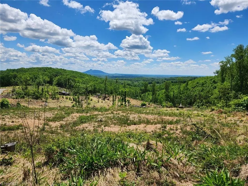 Pilot Mountain, NC 27041,Lot 5 Howell RD