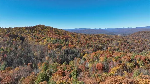 Boomer, NC 28606,326 RoseBrier RD