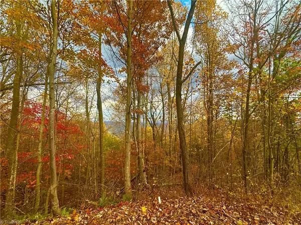 Boomer, NC 28606,Lot 15 Morning Mist DR