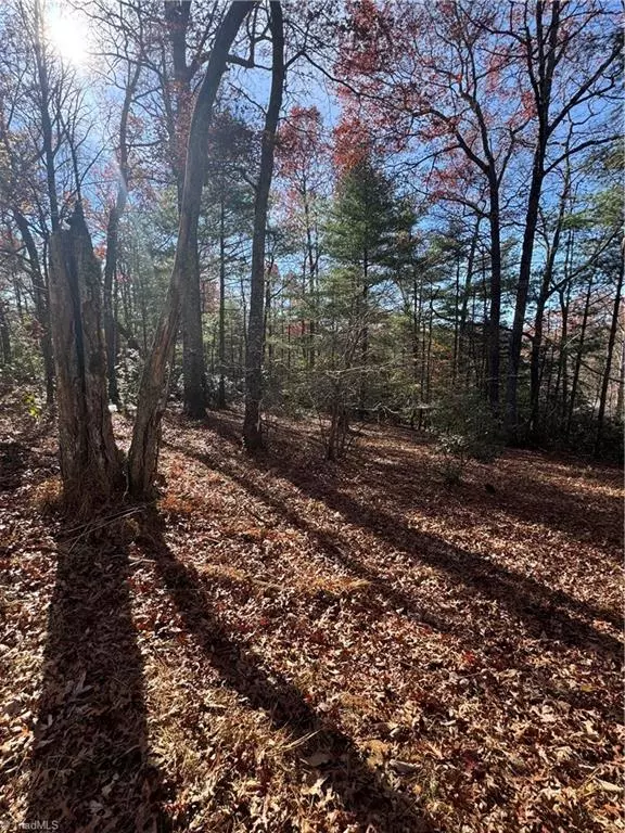 Fleetwood, NC 28626,324 Morrison LN