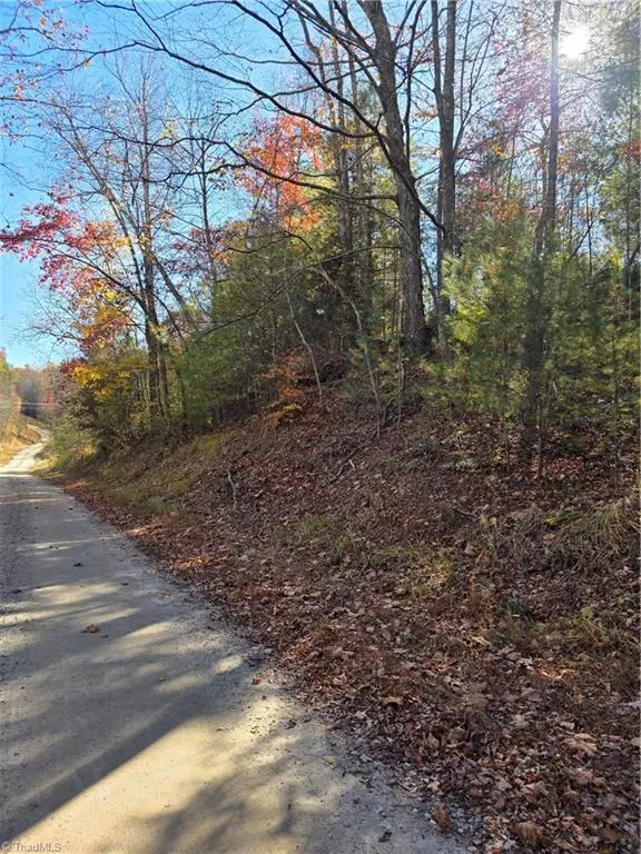 Millers Creek, NC 28651,TBD Browntown RD