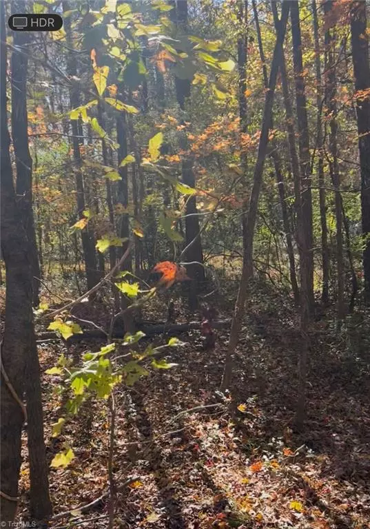 0 Snuggs Park RD, Albemarle, NC 28001