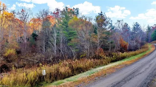 Laurel Springs, NC 28644,TBD Lot 23 River Stone DR