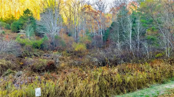 Laurel Springs, NC 28644,TBD Lot 23 River Stone DR