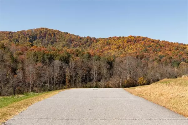 Mcgrady, NC 28649,000 Antler DR