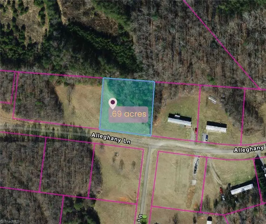 Pilot Mountain, NC 27041,3234 Alleghany LN