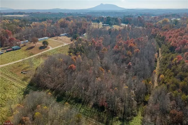 Pilot Mountain, NC 27041,3234 Alleghany LN
