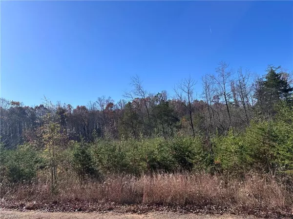 Sandy Ridge, NC 27046,5 Stephens Trail RD