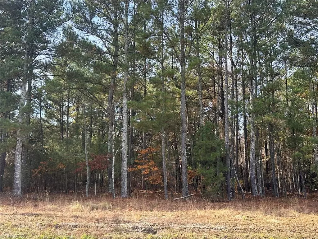 Jackson Springs, NC 27281,Lot 1 Windblow RD