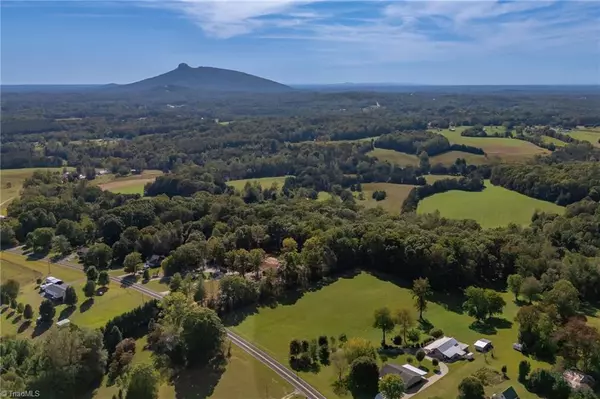 Pinnacle, NC 27043,1520 Brims Grove RD