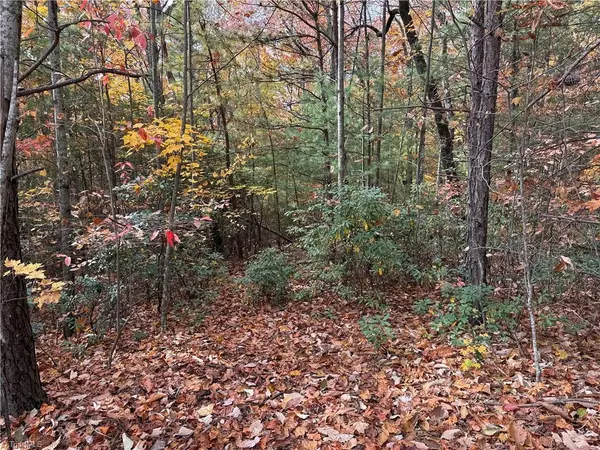 Purlear, NC 28665,Lot 209 Casey Mountain RD