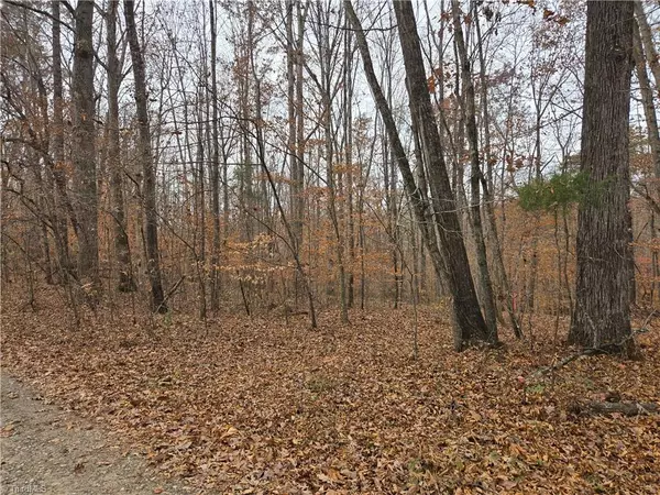 Pfafftown, NC 27040,4901 & 4927 Montford RD