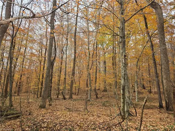 4901 & 4927 Montford RD, Pfafftown, NC 27040