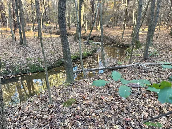 19.6 acres Willie RD, Seagrove, NC 27341