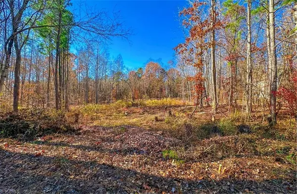 Summerfield, NC 27358,170 Hash LN