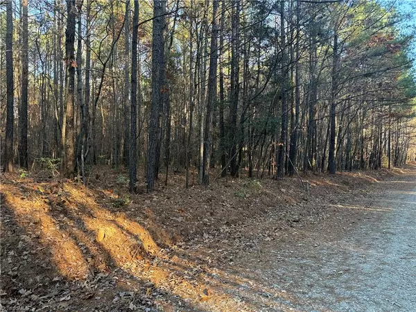 Seagrove, NC 27341,Lot 11 Woods RD
