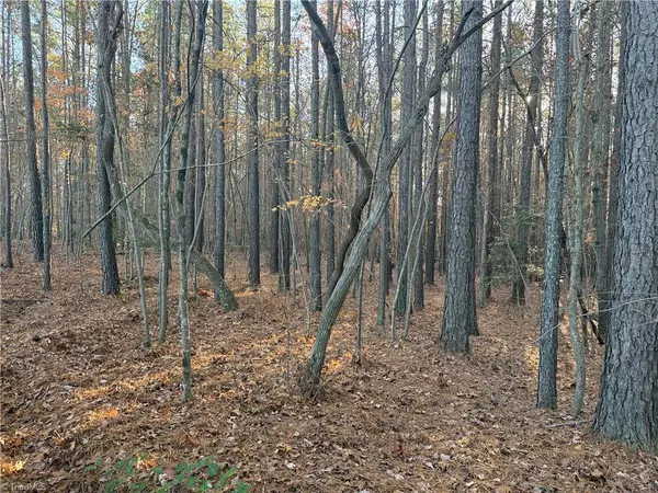 Seagrove, NC 27341,Lot 12B Woods RD